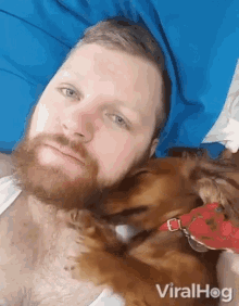 beard playing puppy cute dreaming