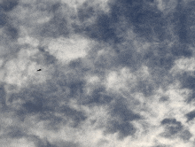 a bird flying through a cloudy sky with a blue background