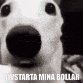 Rivstarta Mina Bollar GIF - Rivstarta Mina Bollar GIFs