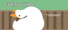 a picture of a duck with the words guess who * inhales *