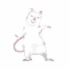 rat wiggly
