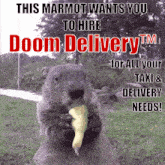 a marmot eating a piece of food with the words this marmot wants you to hire doom delivery tm