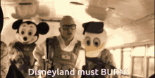 Disneyland Skold GIF - Disneyland Skold Burn GIFs