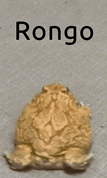 Rongo Mofongo GIF - Rongo Mofongo GIFs
