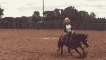 horse riding horse having fun riding practicing