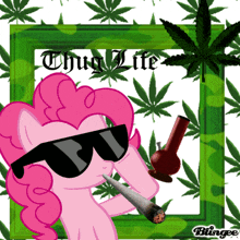 Pinkie Pie Pinkie Pie Weed GIF - Pinkie Pie Pinkie Pie Weed Weed GIFs