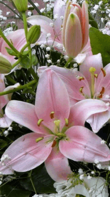 Flower57 GIF