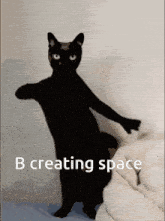 B Creating Space When B Creates Space GIF - B Creating Space When B Creates Space B Space GIFs