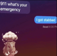 a picture of a boar that says 911 what 's your emergency i got stabbed