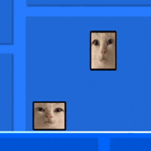 Nepunator Cat GIF - Nepunator Cat Geometry Dash GIFs
