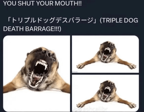 shut-up-triple-dog-death-barrarge.gif