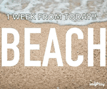 Beach Day Beach GIF - Beach Day Beach Vacation GIFs