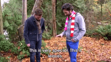 This Is Leaves. GIF - Leaves Walk In The Forest Season2 GIFs