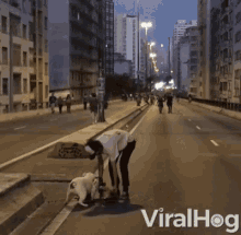 a man playing with a dog on the side of a street with the words viralhog written on the bottom