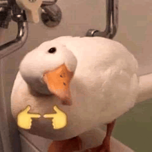 a white duck with a yellow beak is standing in a bathroom next to a faucet .