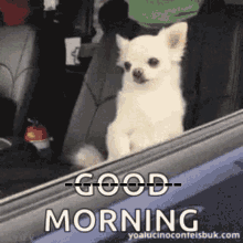 Morning Puppies GIF - Morning Puppies Cute Dog GIFs