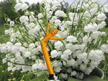 lily of the valley flowers in a pot with a yellow inflatable