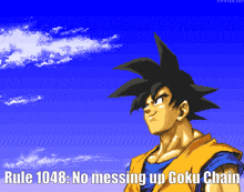 Rule 1048 Goku GIF - Rule 1048 Goku Goku Chain GIFs