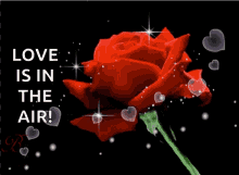 Love Roses GIF - Love Roses Glitter GIFs