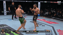 muhammad and della maddalena are fighting in the ufc championship