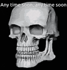a skull with its mouth open and the words `` any time soon , any time soon '' written on it .