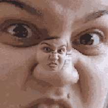 a pixelated image of a woman 's face with a nose ring on it