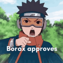 Borax Approves GIF