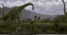 a group of dinosaurs standing on top of a grassy hill next to a river .