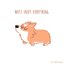 Sniff Sniffing GIF - Sniff Sniffing Smell GIFs