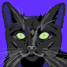 Halloween GIF - Cat Blackcat Cateyes GIFs