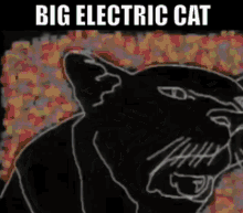Big Electric Cat Adrian Belew GIF - Big Electric Cat Adrian Belew 80s Music GIFs