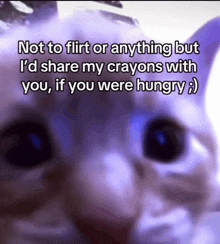 a cat with a caption that says " not to flirt or anything but i 'd share my crayons with you