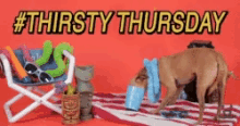 Thirsty Thursday Funny GIF - Thirsty Thursday Funny Thirsty GIFs
