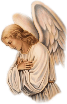 angel wings holy