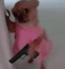 a small dog in a pink dress is holding a gun in its paw .