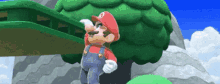 mario is standing in front of a tree in a video game