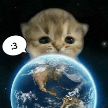 a cat is looking at the earth with a speech bubble saying 3