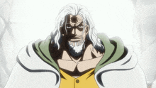 One Piece Silvers Rayleigh GIF