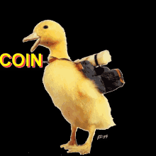 Coin GIF - Coin Duck GIFs