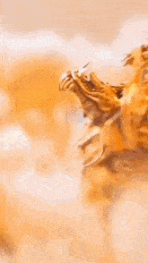 a close up of a lion 's face with its mouth open