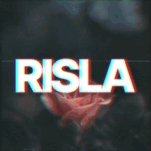 Risla French GIF - Risla French Streamer GIFs