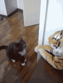 Cat Tiger GIF - Cat Tiger GIFs