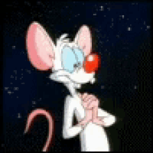 Pinky Pinky And The Brain GIF - Pinky Pinky And The Brain Mouse GIFs