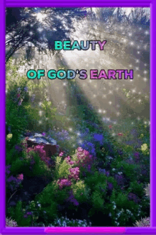 god beauty nature earth