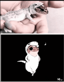Lizard Lizard With Clothes GIF - Lizard Lizard With Clothes Shedding Of Skin GIFs
