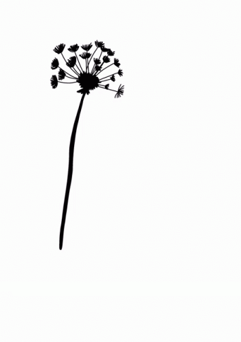 Tod Trauer Sticker Tod Trauer Trauerspruch Discover & Share GIFs