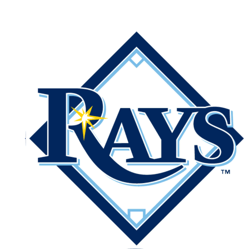 Lets Go Rays I Voted Early Sticker - Lets Go Rays I Voted Early I Voted Stickers