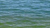 Water вода GIF - Water вода GIFs