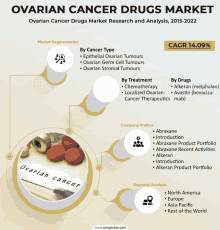 Ovarian Cancer Drugs Market GIF