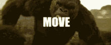 Move I Have To Go Shit GIF - Move I Have To Go Shit Run GIFs